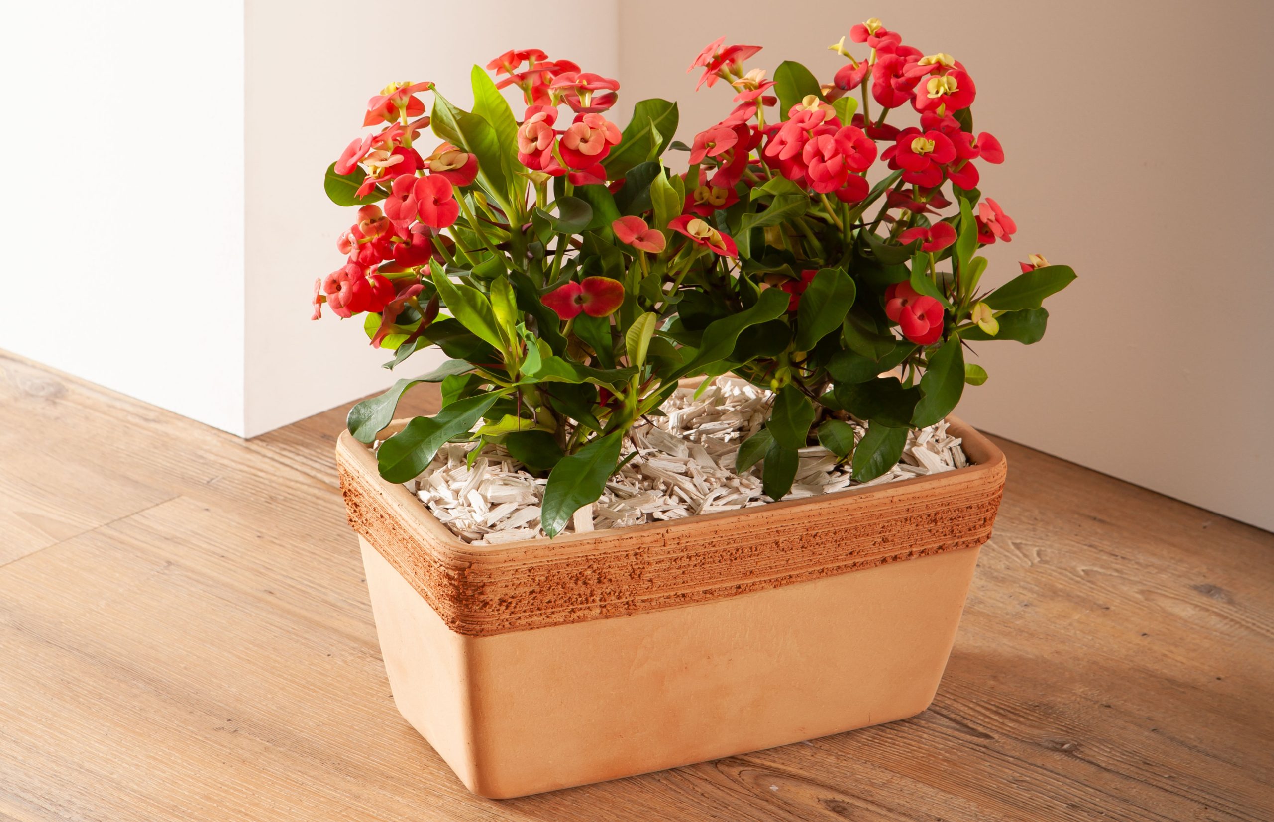 L’abbinamento perfetto (parte 2)