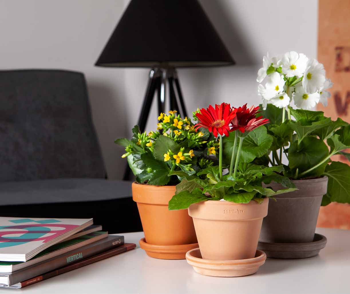 The timeless colour of terracotta