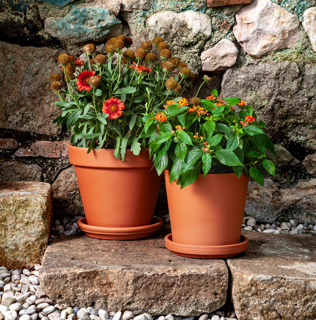 Come utilizzare i nostri vasi