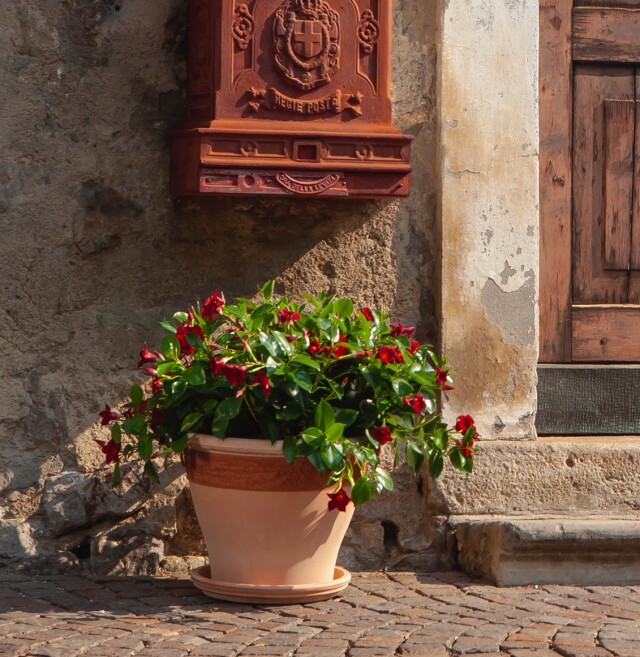 Il vaso in terracotta icona di stile italiano