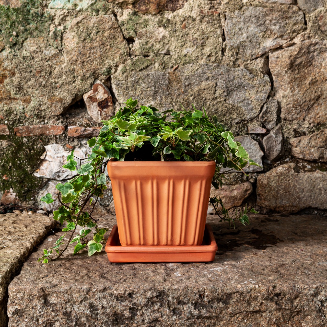 Square planters