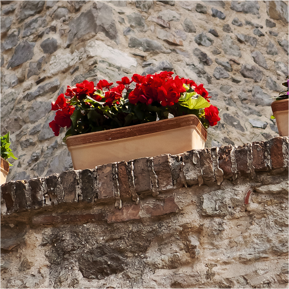 Euganea Vasi 25 cm/ 10'' Clay Pot Plante / terracotta main image 0