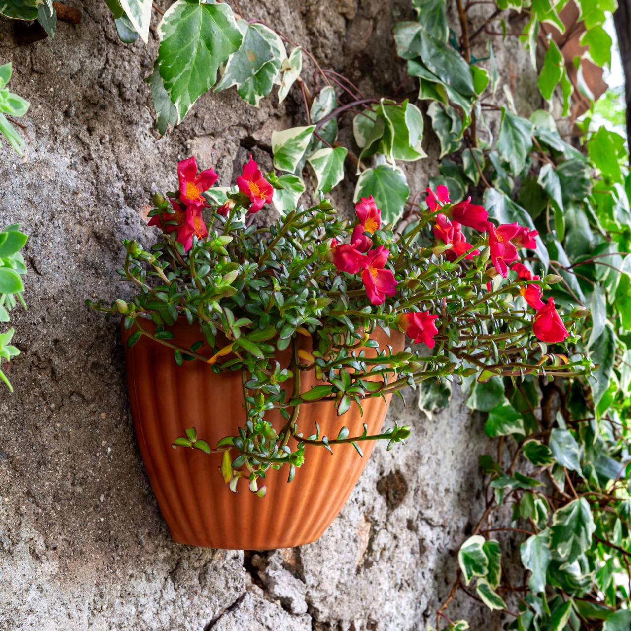 Wall planters