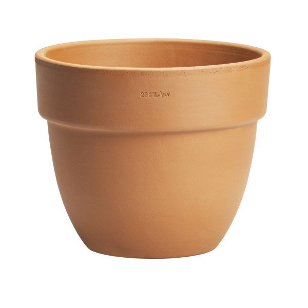 VASO PATAVIUM