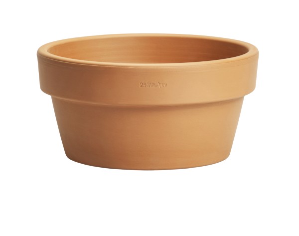 MINIVASO
