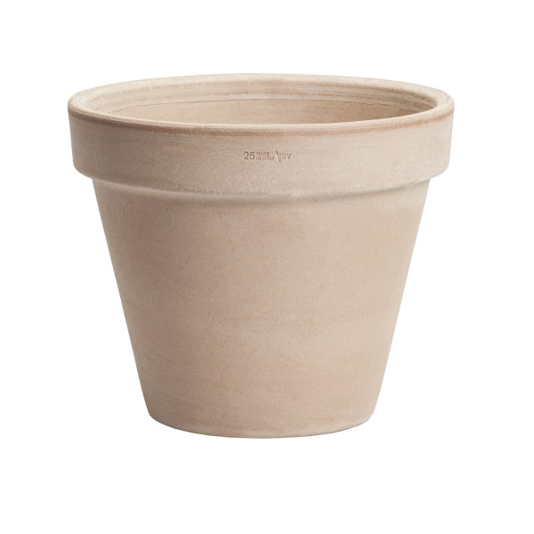 VASO STANDARD